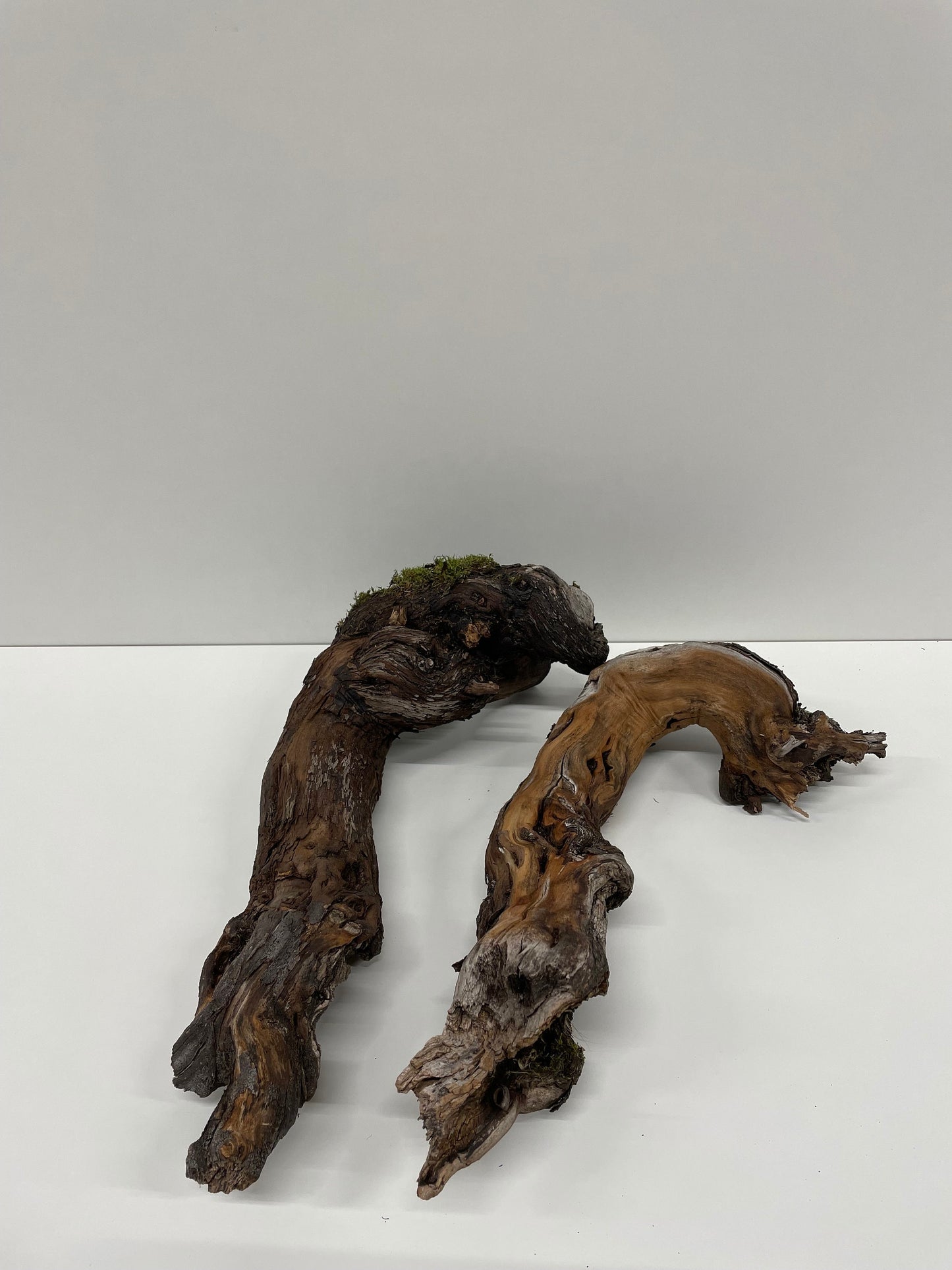 Weinrebenset | Dekoration für Daheim / Dekoration aus Holz / Holzdekoration / Holz zum basteln / Weinrebe / Rebstock / Wurzel / Alte Rebe